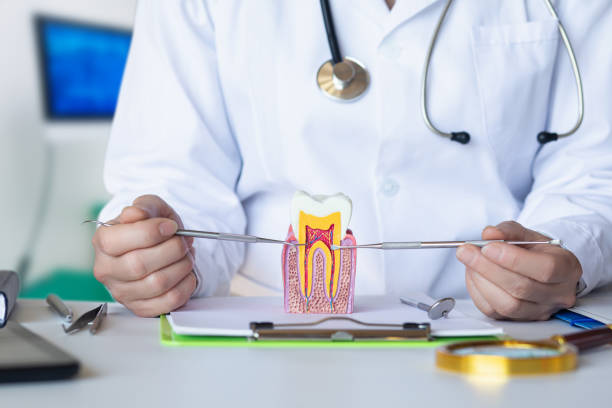 Best Emergency Treatment for Toothache in Madelia, MN